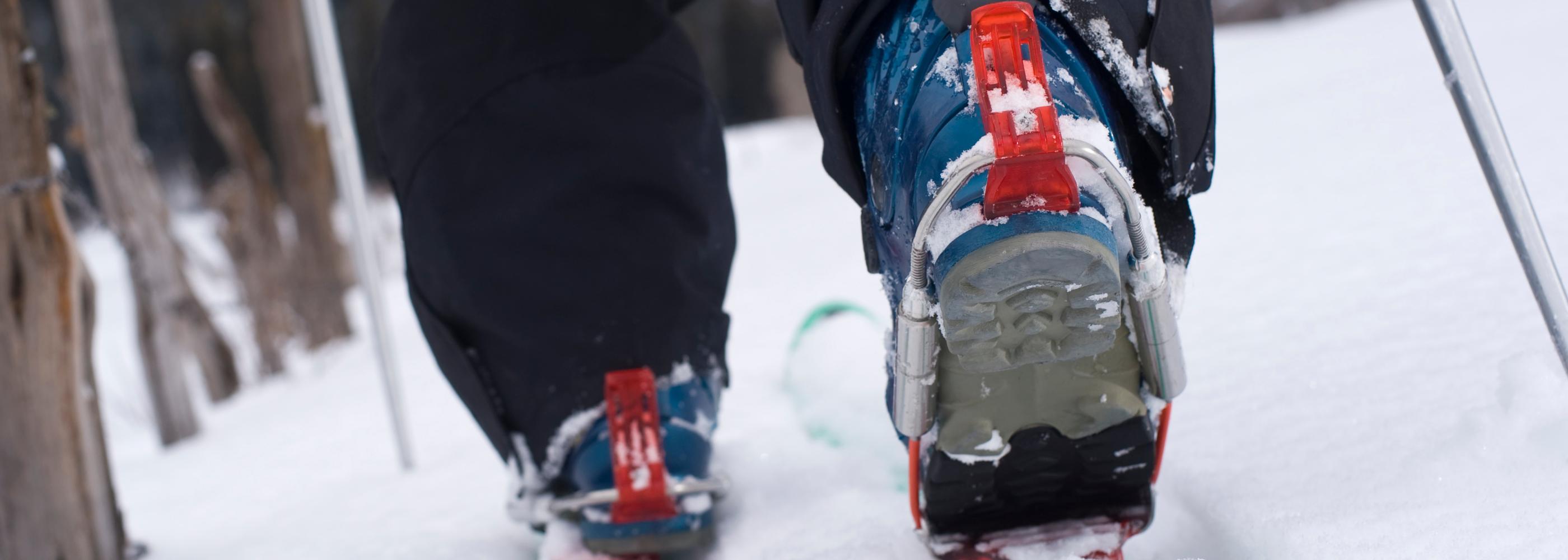 Skitourenschuhe