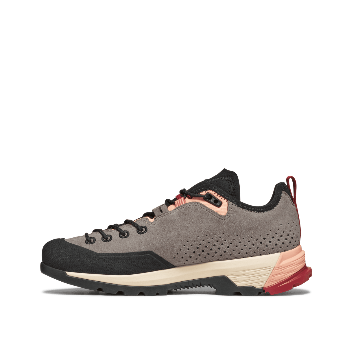 Tecnica - Sulfur GTX WS