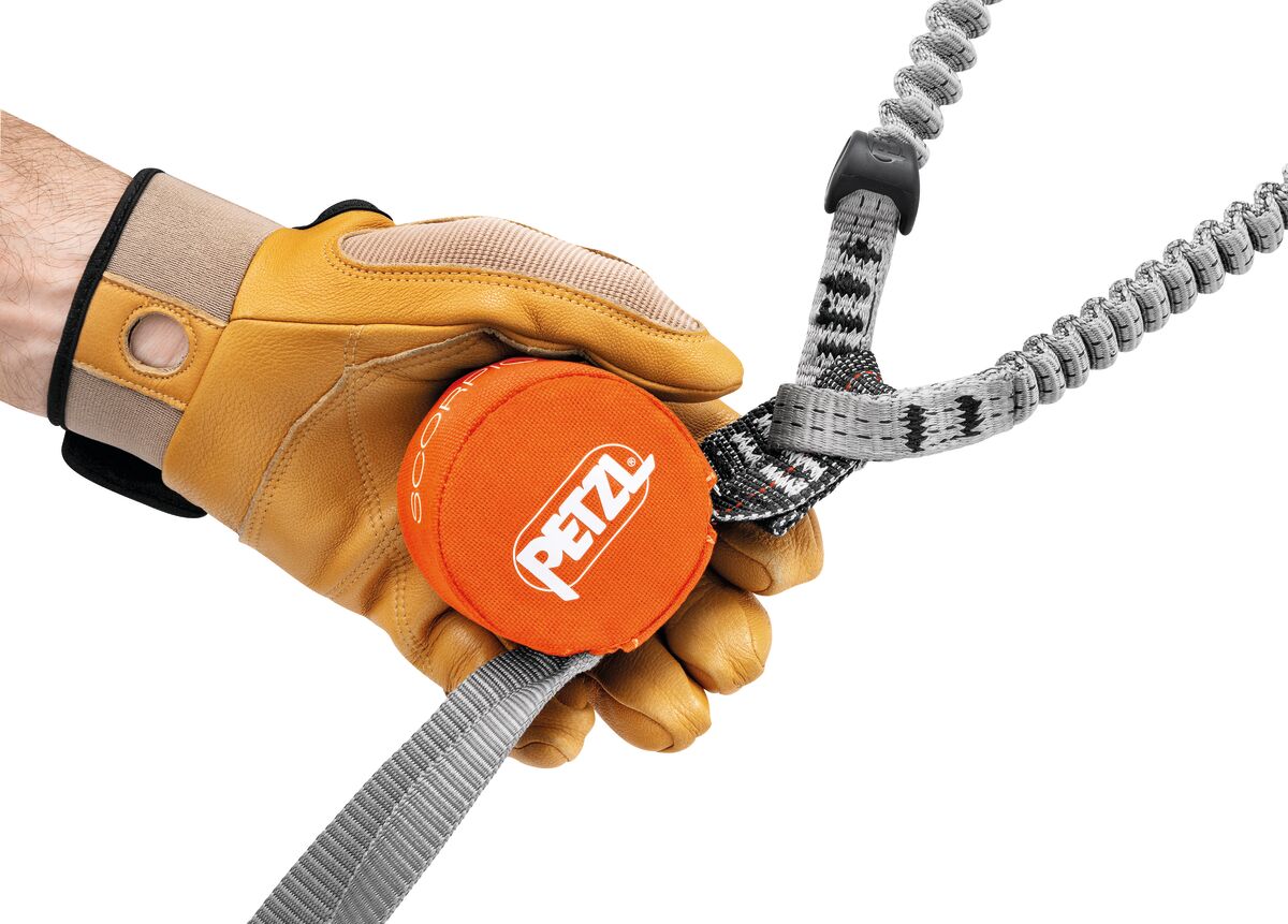 Petzl Scorpio Eashook